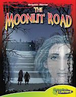Moonlit Road