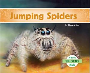 Jumping Spiders