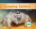 Jumping Spiders