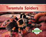 Tarantula Spiders