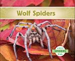 Wolf Spiders