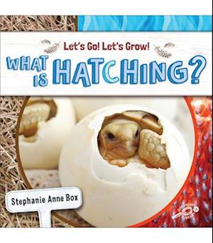 What Is Hatching?