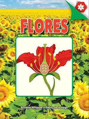 Flores