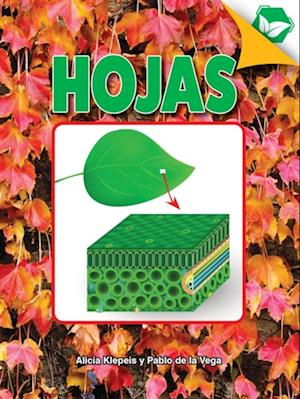 Hojas