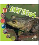 Anfibios