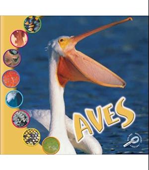 Aves