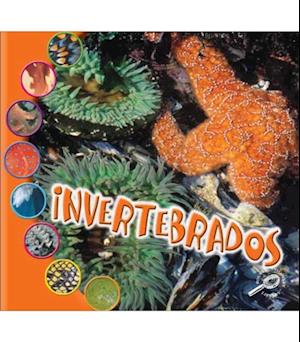 Invertebrados