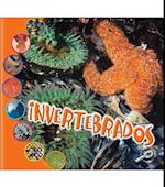 Invertebrados