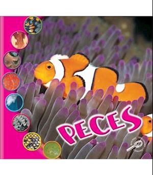 Peces