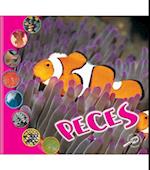 Peces