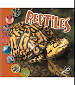 Reptiles