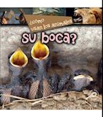 ¿Como usan los animales… su boca?