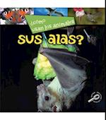 ¿Como usan los animales… sus alas?