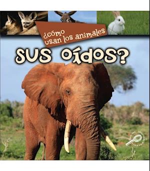 ¿Como usan los animales… sus oídos?