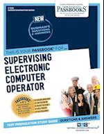 Supervising Electronic Computer Operator (C-1549)