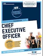 Chief Executive Officer (C-2828), 2828