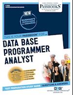 Data Base Programmer Analyst