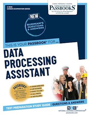 Data Processing Assistant