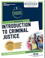 Introduction To Criminal Justice