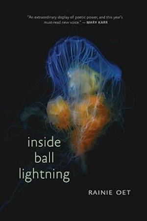 Inside Ball Lightning