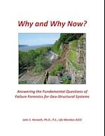 Why and Why Now? Answering the Fundamental Questions of Failure Forensics for Geo-Structural Systems 