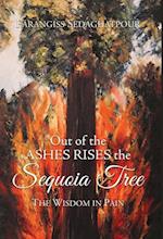 Out of the Ashes Rises the Sequoia Tree