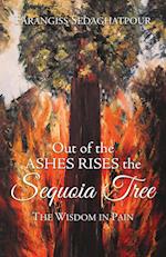 Out of the Ashes Rises the Sequoia Tree