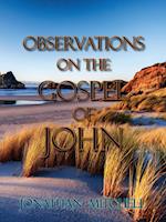 Observations on the Gospel of John 