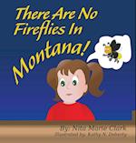 There Are No Fireflies In Montana!