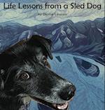 Life Lessons from a Sled Dog 