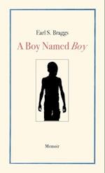 A Boy Named Boy: Growing Up Black in "Whitetown" During the 1960s, Hampstead, NC 