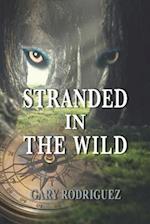 Stranded in the Wild