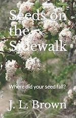 Seeds on the Sidewalk: Where did your seed fall? 