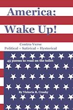 America; Wake Up!