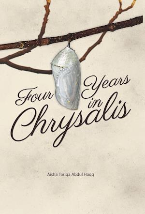 Four Years in Chrysalis