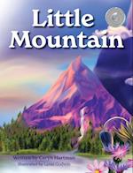 Little Mountain 