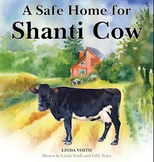 A Safe Home for Shanti Cow
