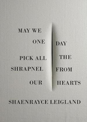 May We One Day Pick All the Shrapnel From Our Hearts