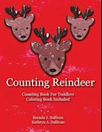 Counting Reindeer