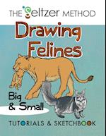 Drawing Felines