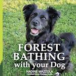 Forest Bathing with your Dog
