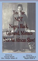 You Are NOT Negro, Black, Coloured, Morisco Nor An African Slave! 