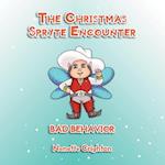 The Christmas Spryte Encounter