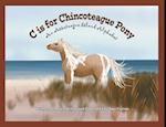 C is for Chincoteague Pony