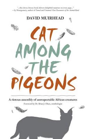 Cat Among the Pigeons