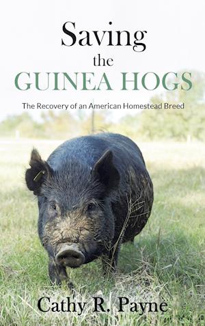 Saving the Guinea Hogs