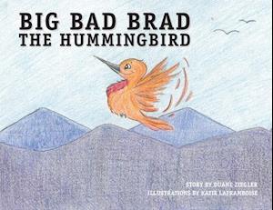 Big Bad Brad the Hummingbird