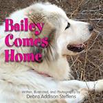 Bailey Comes Home 