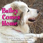 Bailey Comes Home 