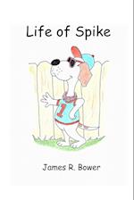 Life of Spike